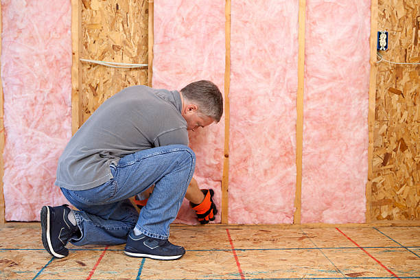 Best Insulation Removal  in De Queen, AR